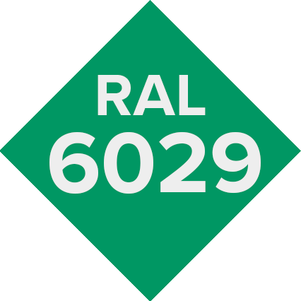 RAL 6029